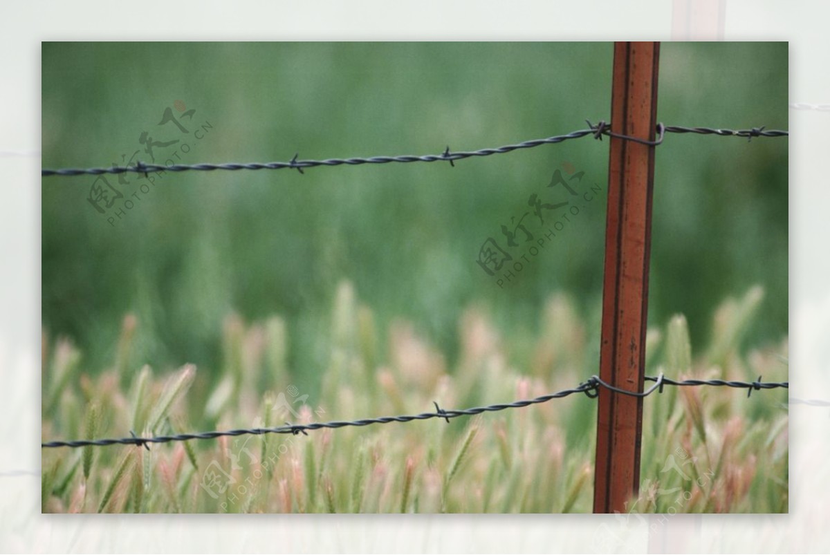 农场围栏图片