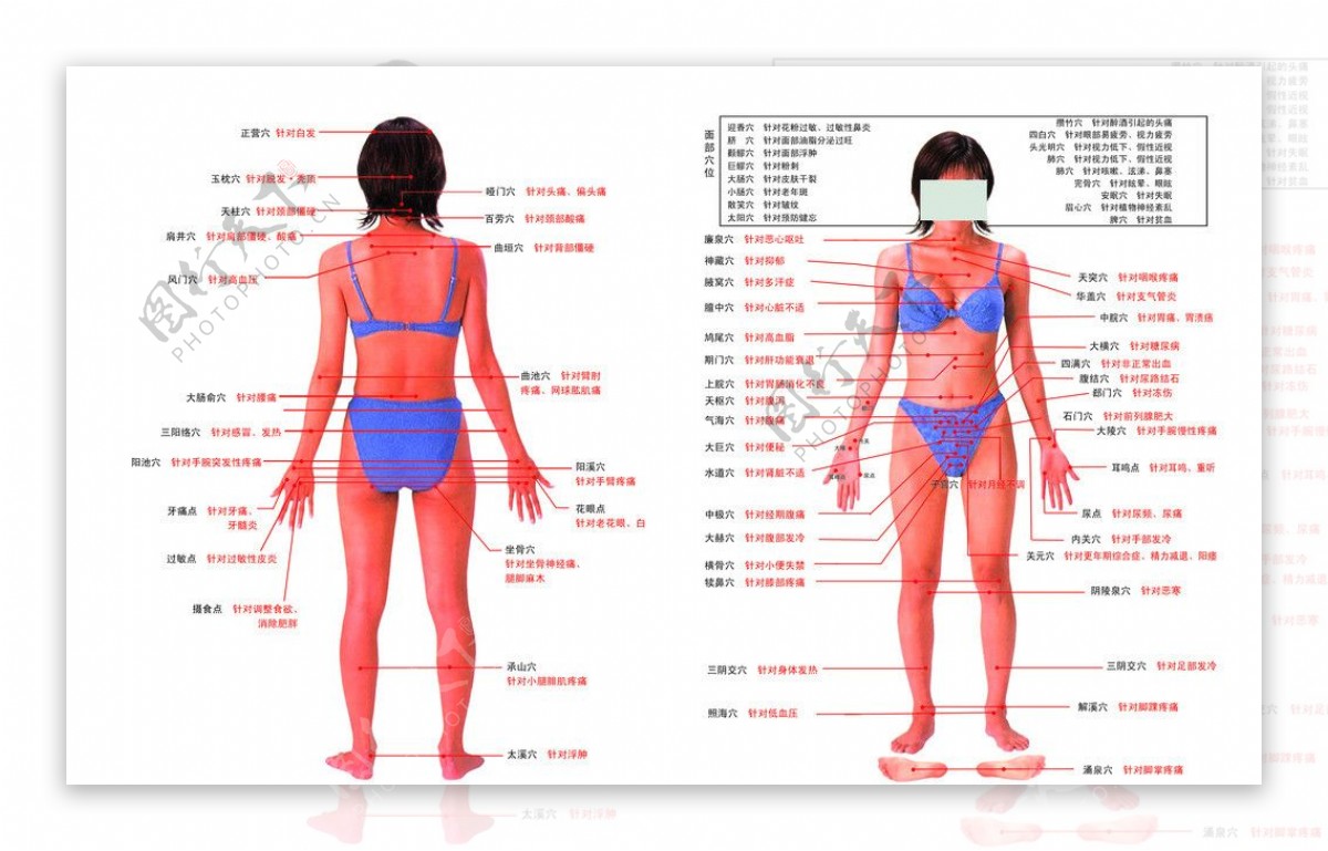 人体示意图图片