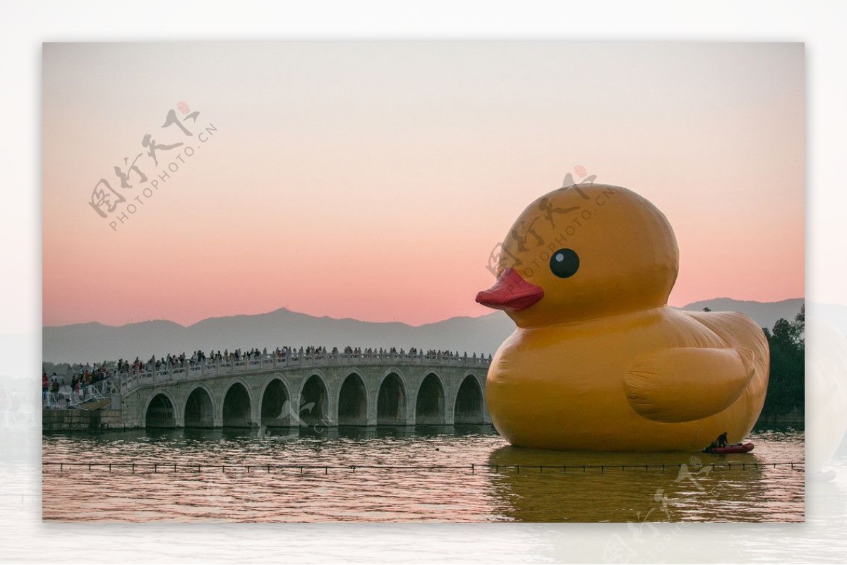 大黄鸭与十七孔桥图片