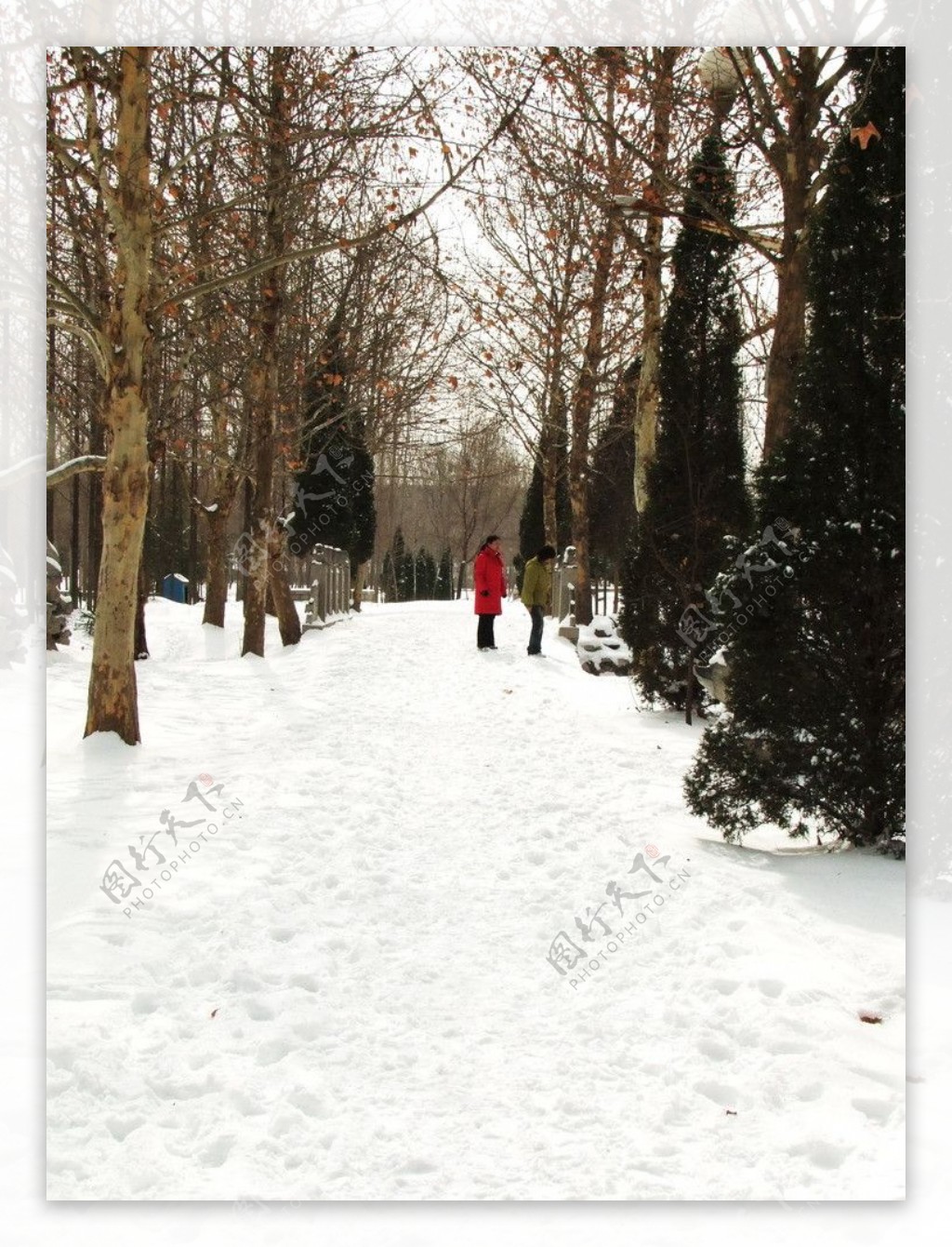 雪景图片