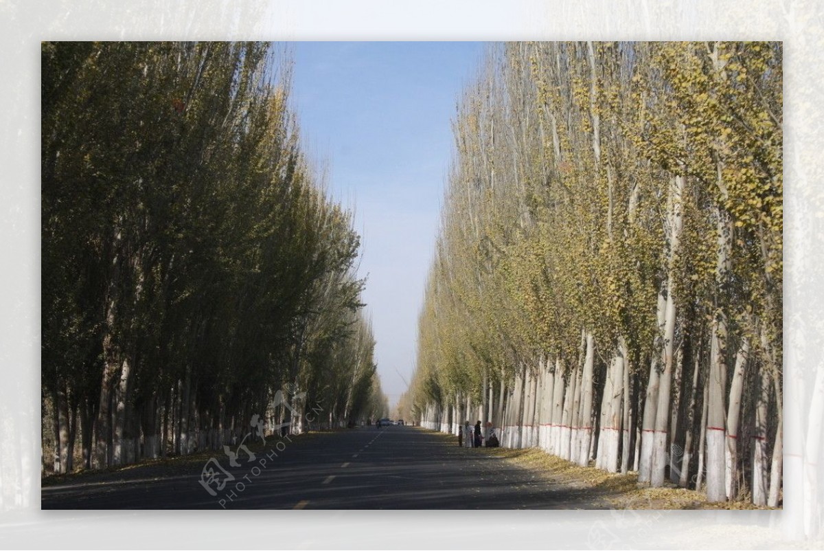 新疆马路图片
