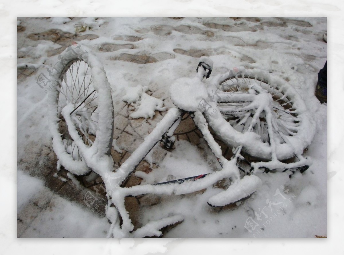 披着雪的单车图片