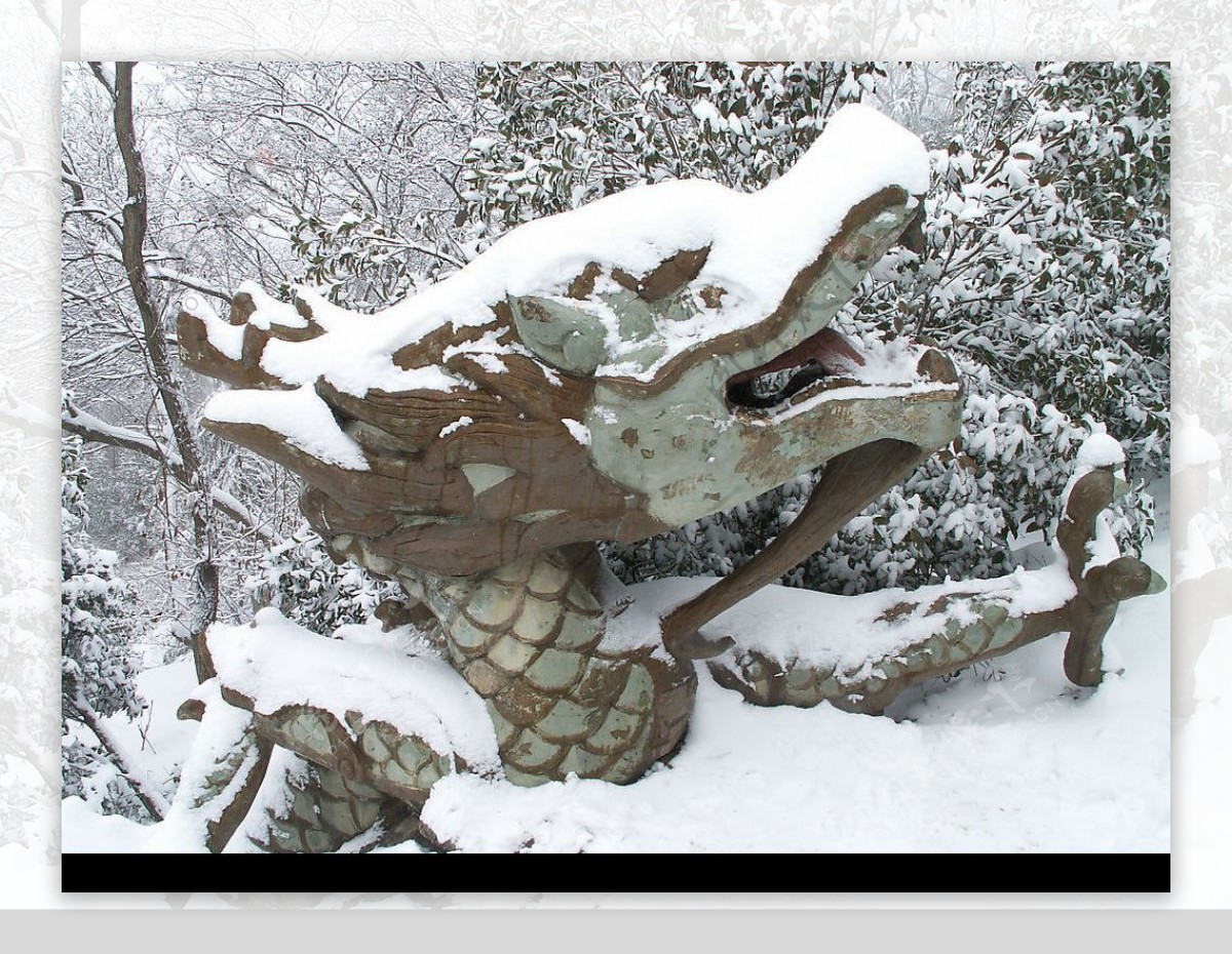 南京紫金山头陀岭雪景图片