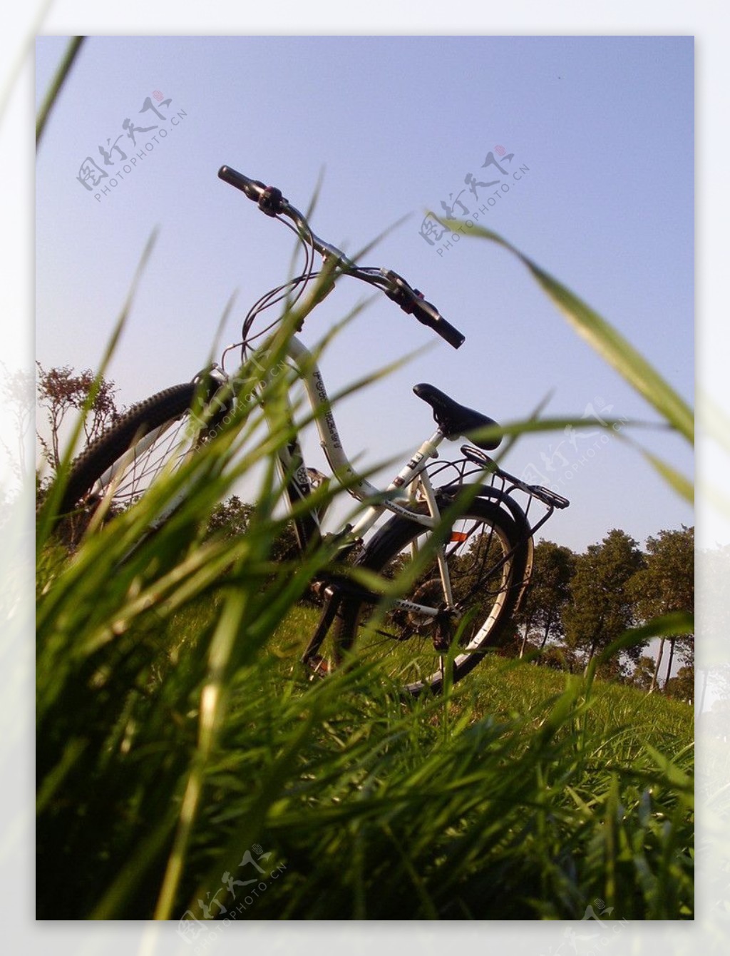 草地单车图片