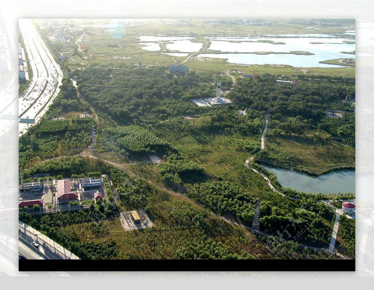 城市森林大慶图片