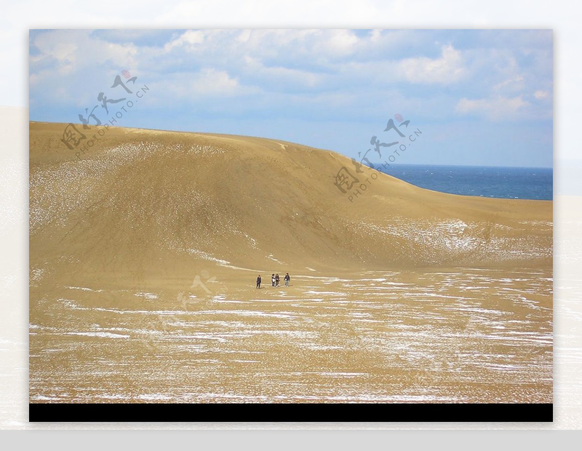 日本唯一鳥取沙丘图片