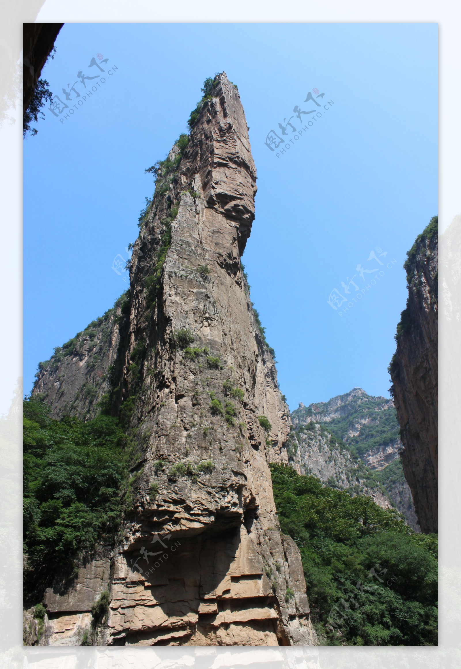 这种驼峰鼻真的好完美好好看～|驼峰|刘亦菲_新浪新闻