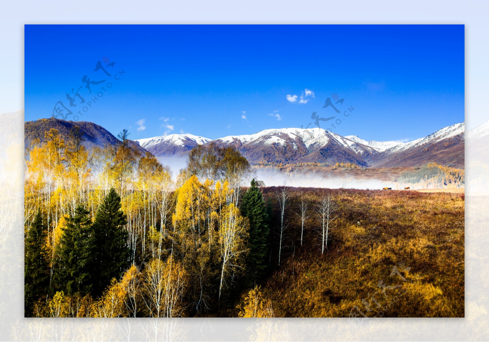 北疆秋季自然风光图片