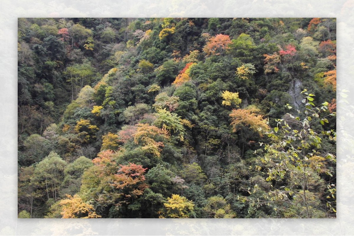 山峦秋景图片