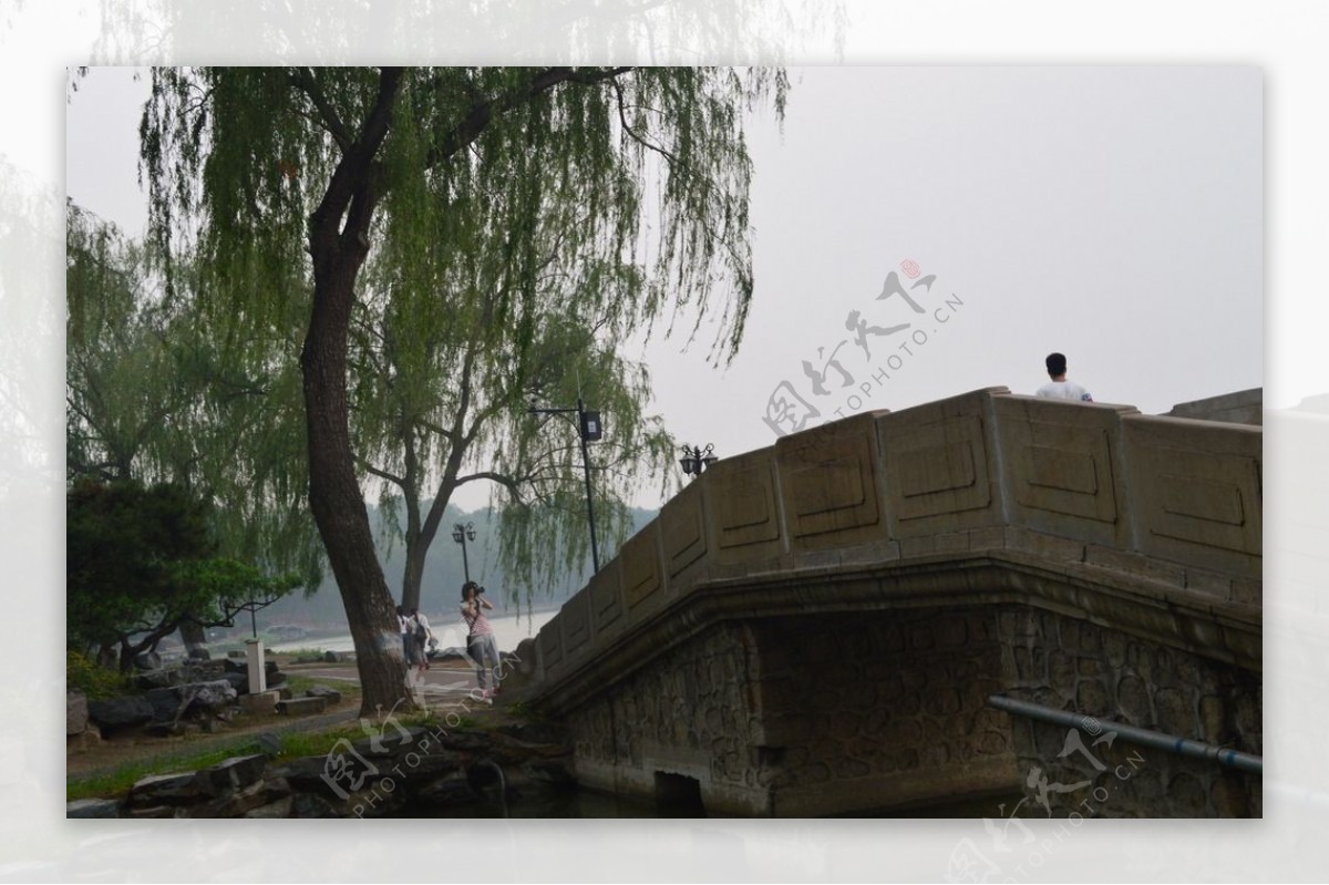 湖边柳树小桥图片