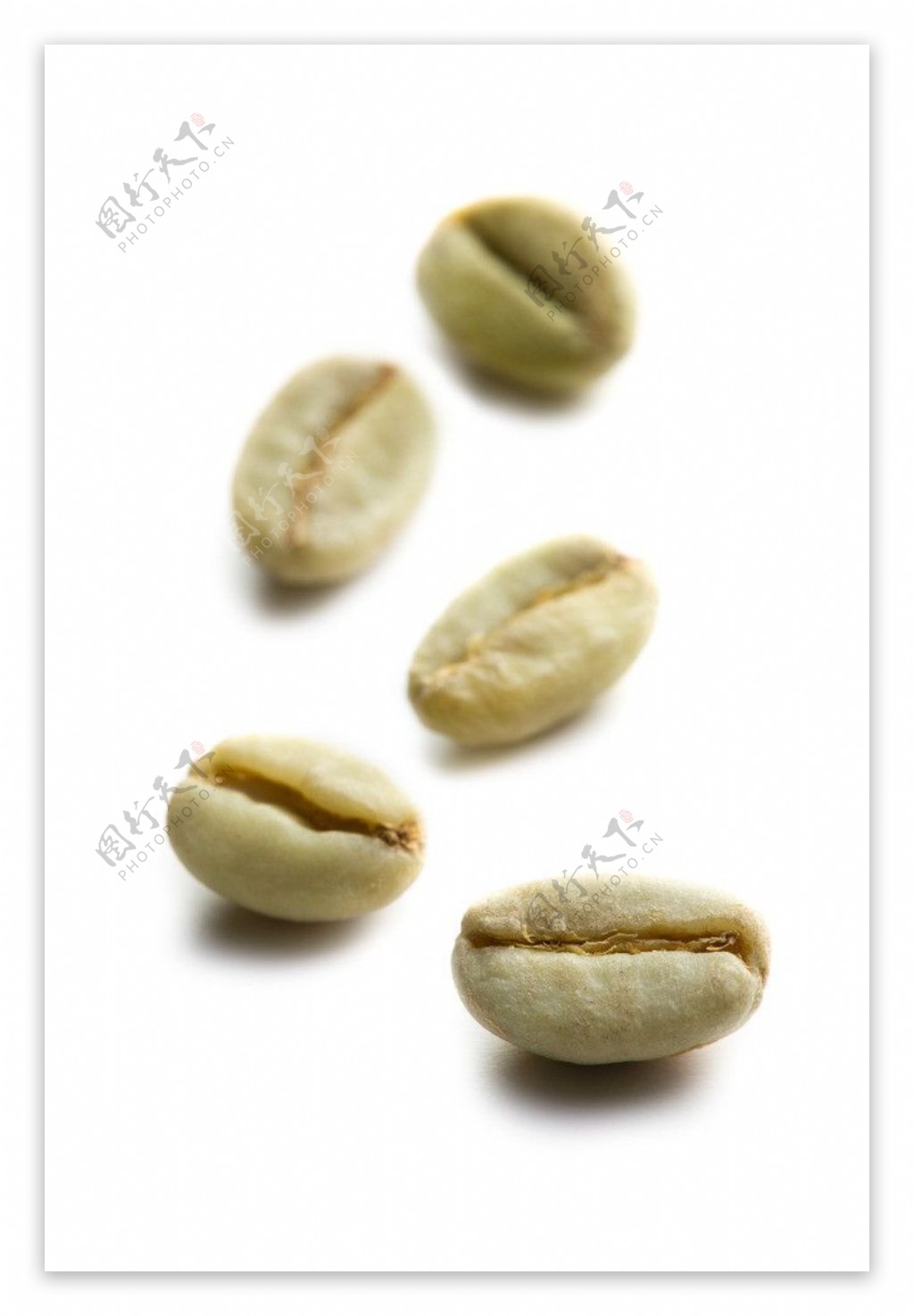咖啡豆图片