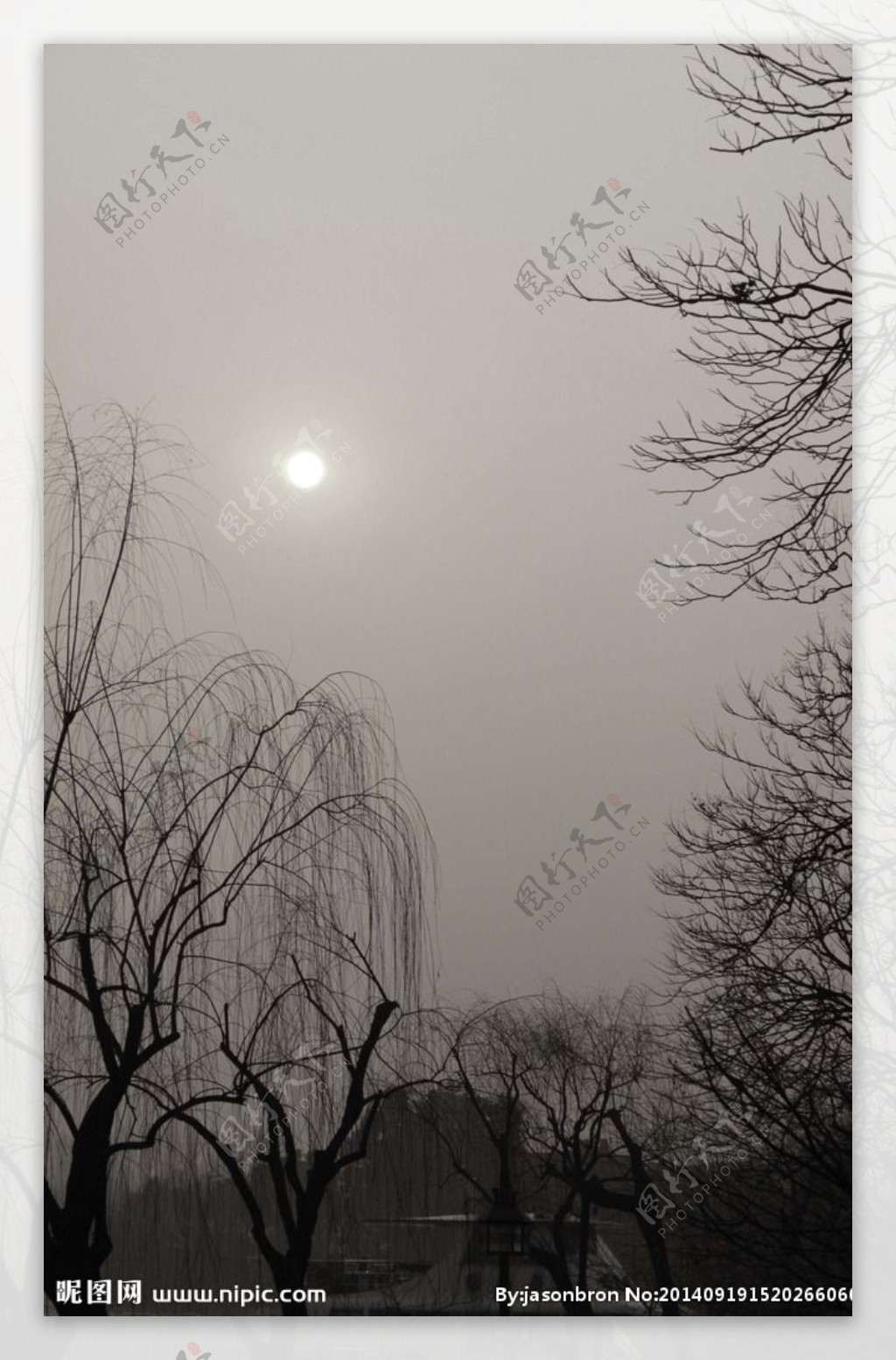 西湖冬日图片