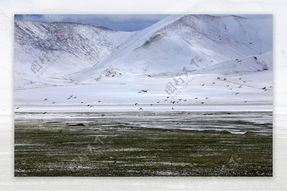 青藏线唐古拉山图片