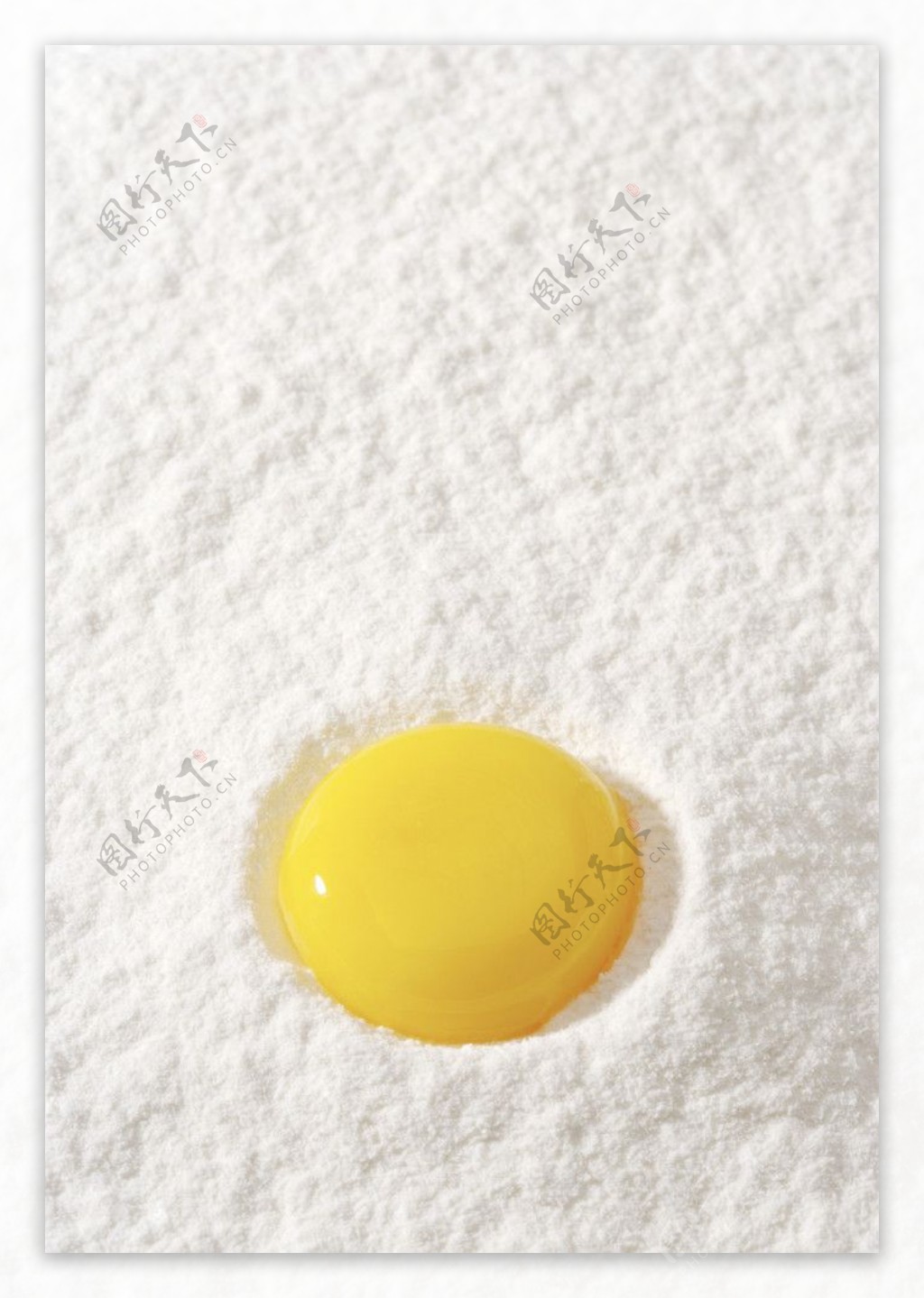 鸡蛋黄图片