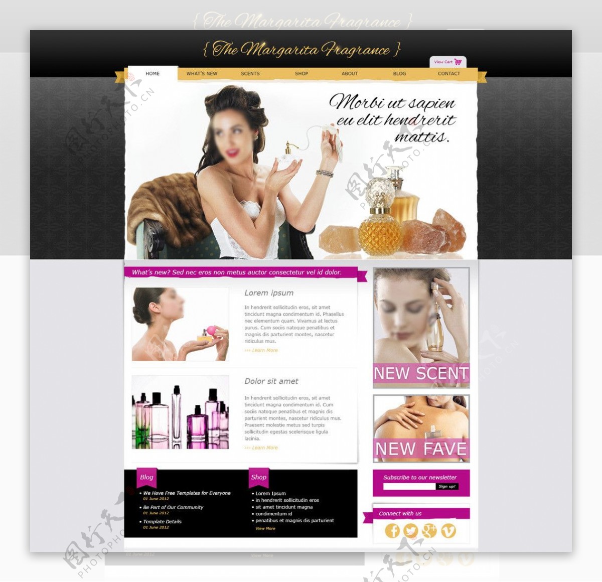 化妆品网站设计图片