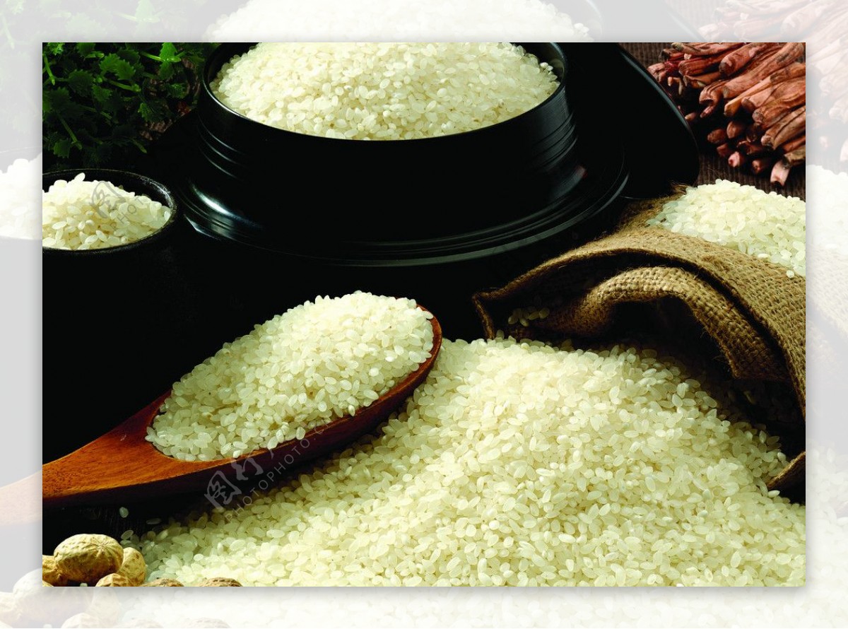 大米稻米图片