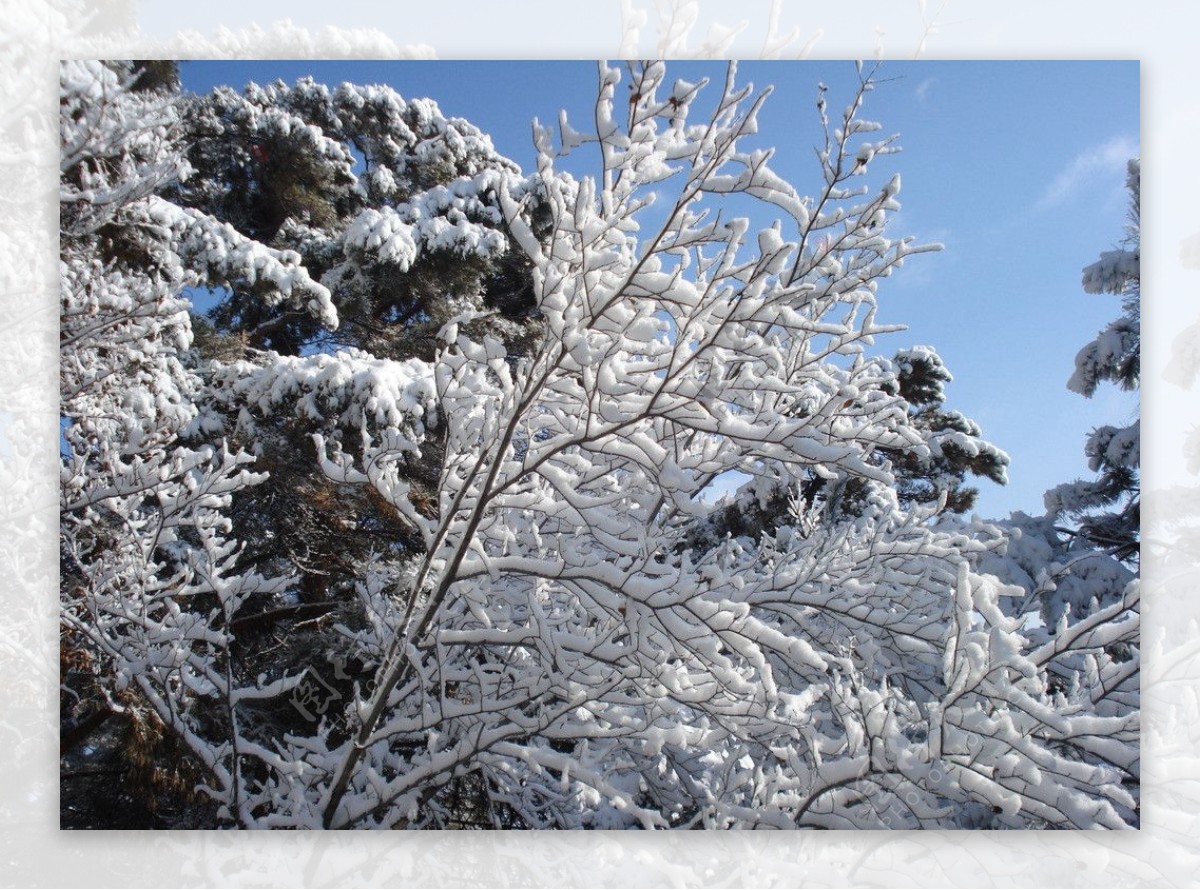 长白县雪景图片