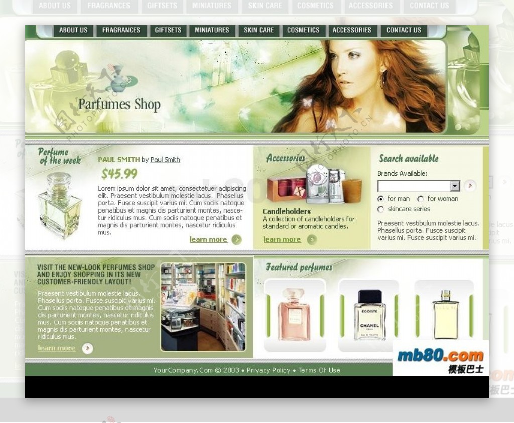 化妆美容保健产品介绍网站欧美网页模板图片
