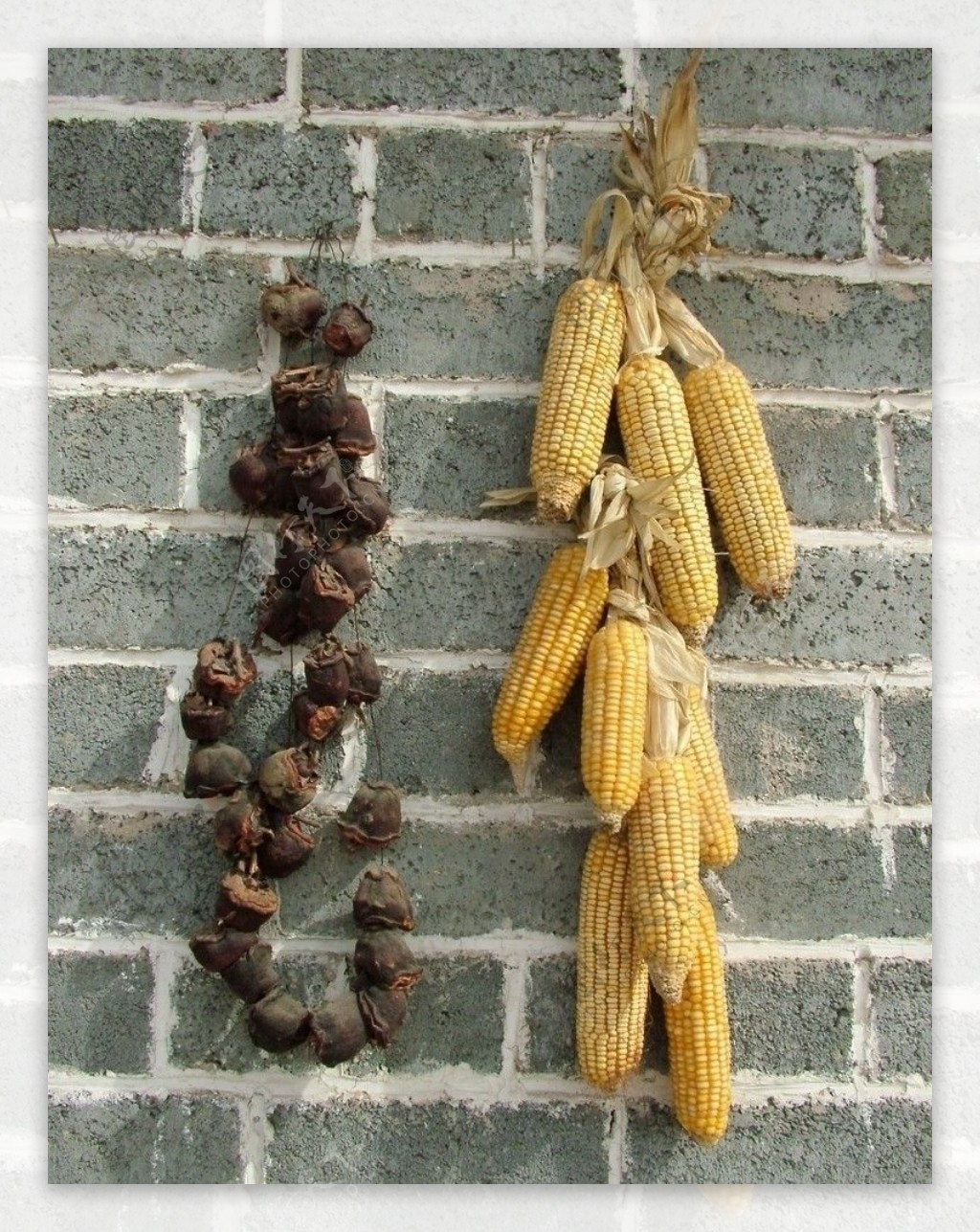 玉米挂件图片