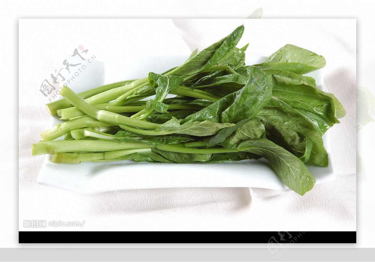 カイラン 若穫りカイラン ベジグリーン カイランの種 小袋 約10ml 野菜の種 【超ポイントバック祭】