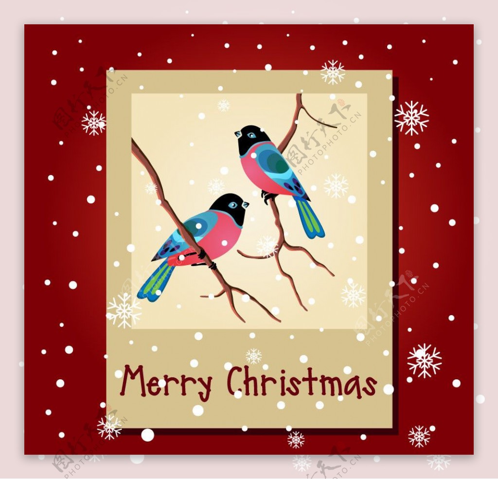 浪漫小鸟圣诞背景图片
