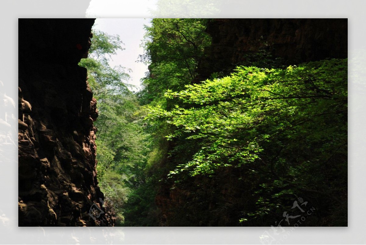 绿树青山山谷山峰图片