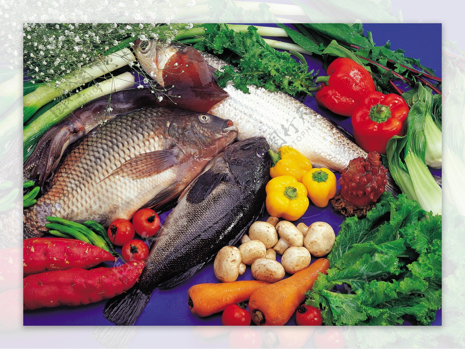 鱼类和蔬菜高清摄影图片