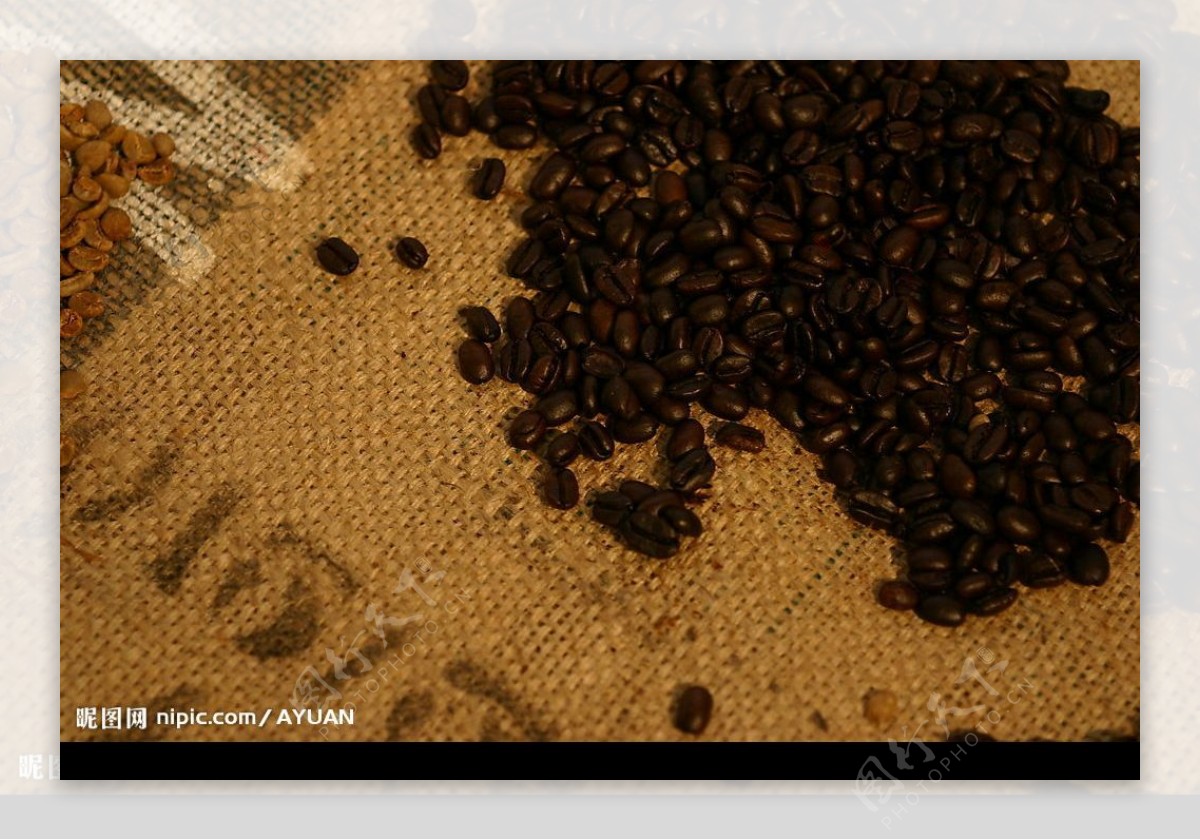 咖啡豆2图片