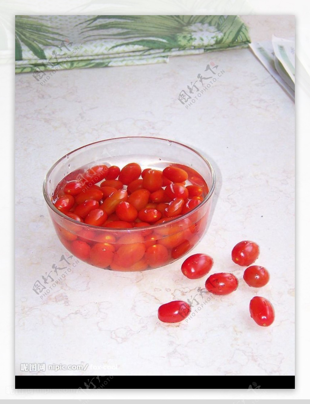 小番茄2图片
