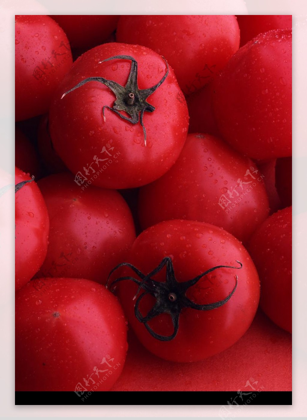 西红柿|摄影|静物|沉默的螺旋JN - 原创作品 - 站酷 (ZCOOL)