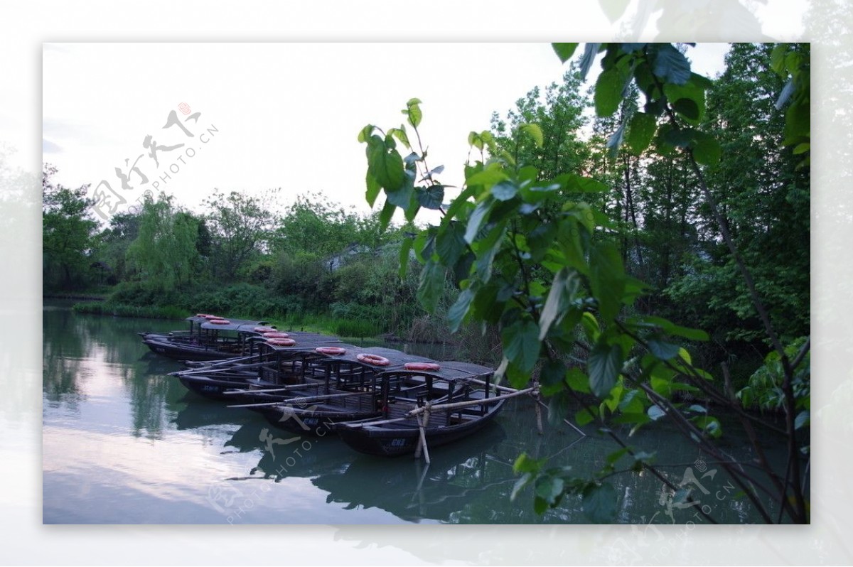 杭州西溪湿地图片