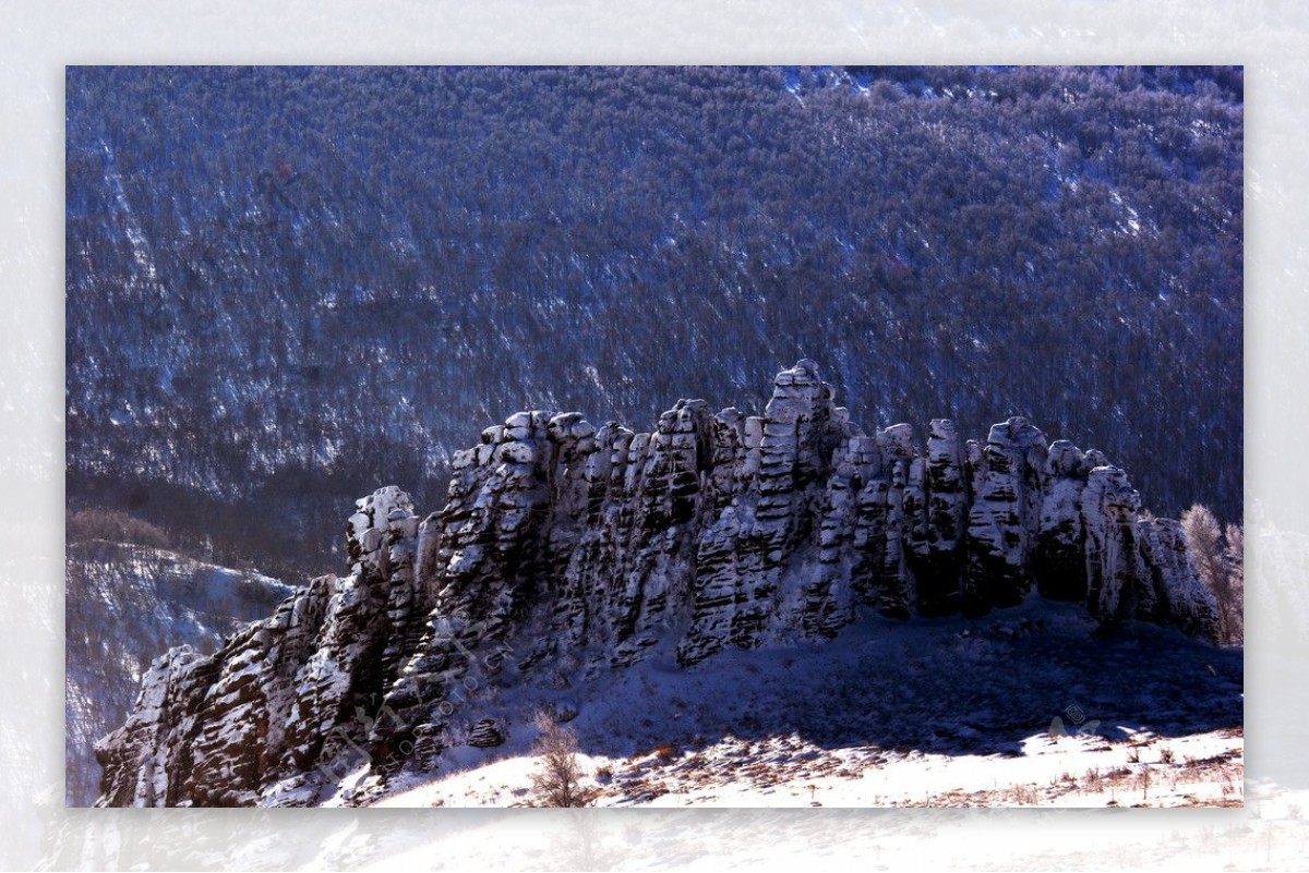 冬雪山林海图片