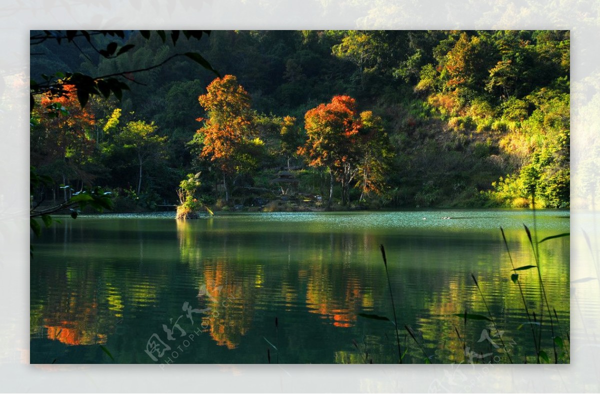 野鸭湖之冬图片