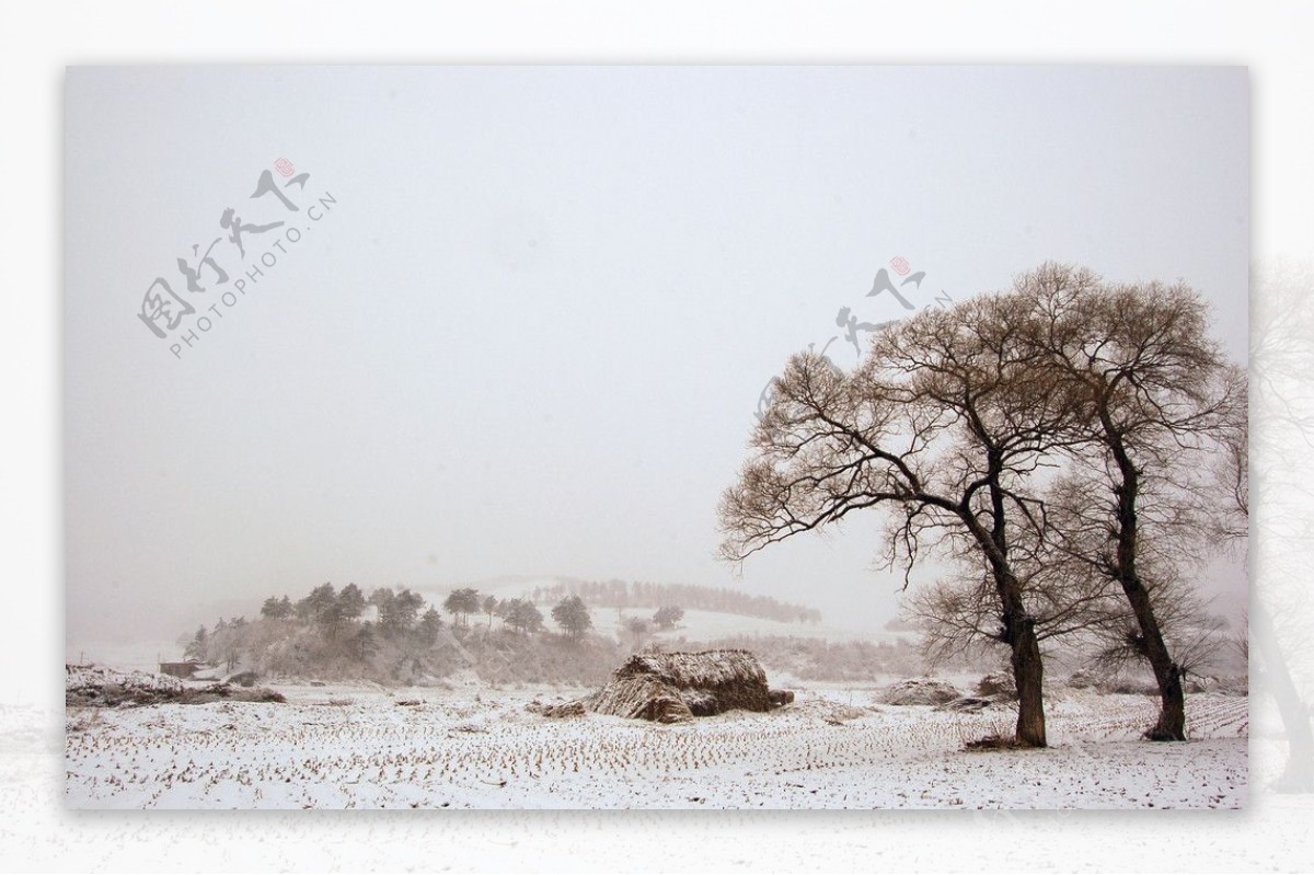 东北小村庄雪景图片