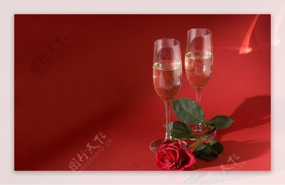 花的背景图 香槟玫瑰摄影图__花草_生物世界_摄影图库_昵图网nipic.com