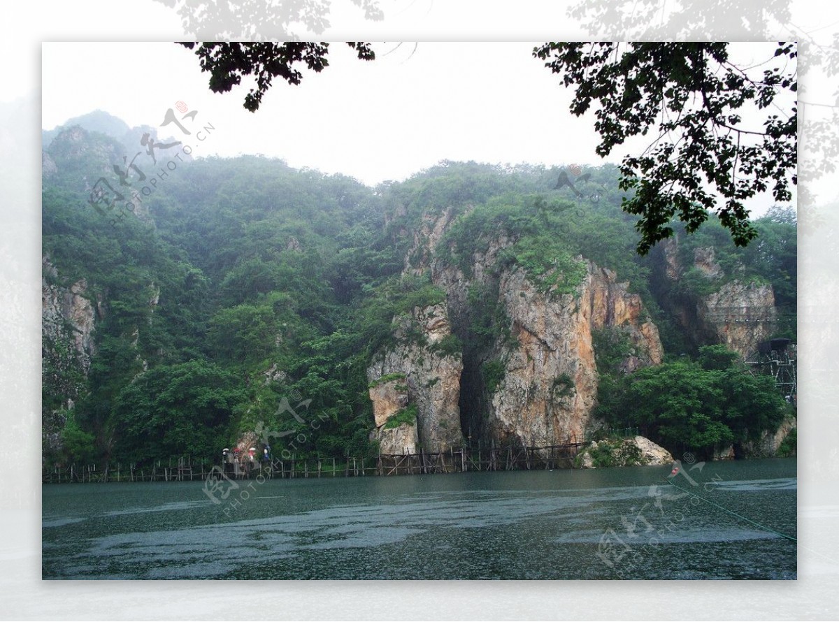 雨打翠色图片