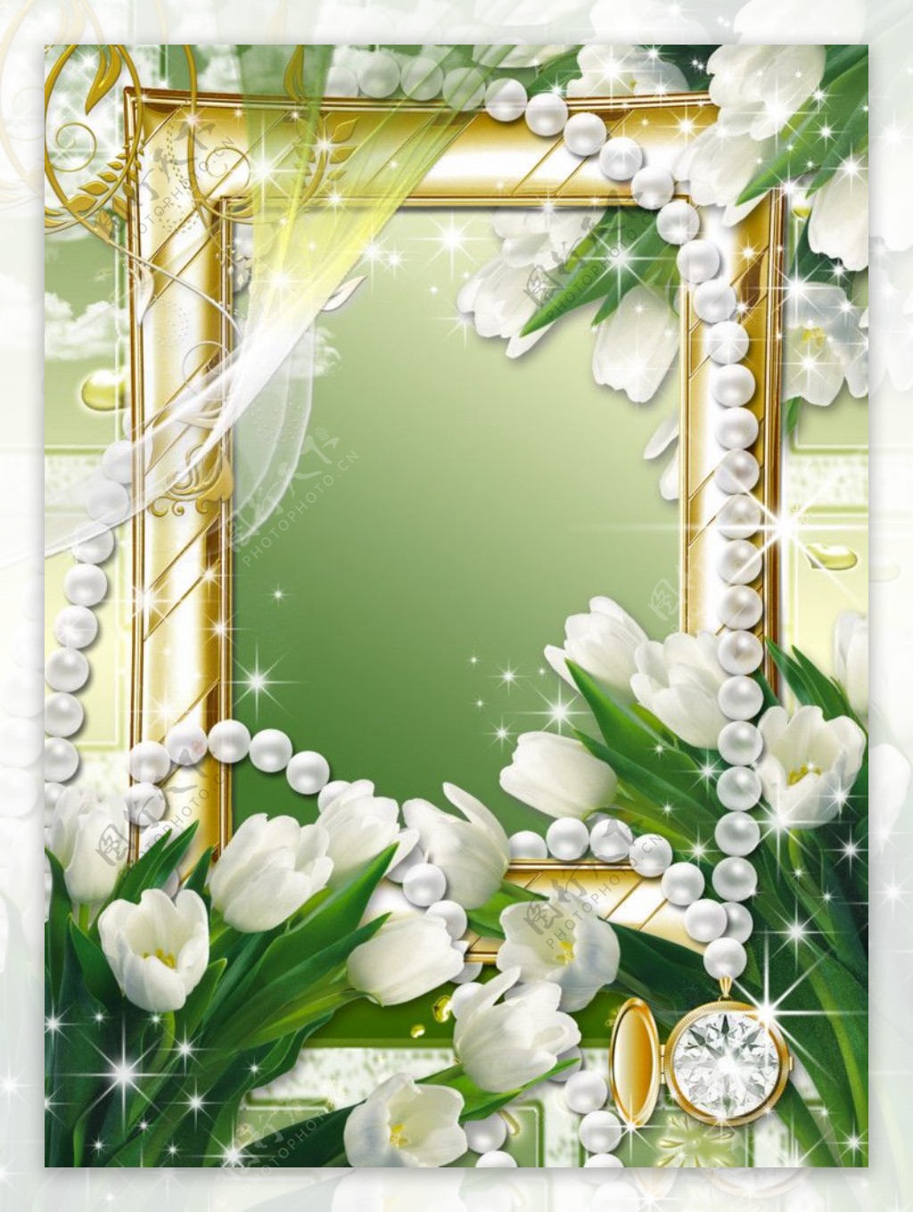 美丽花卉相框背景图片
