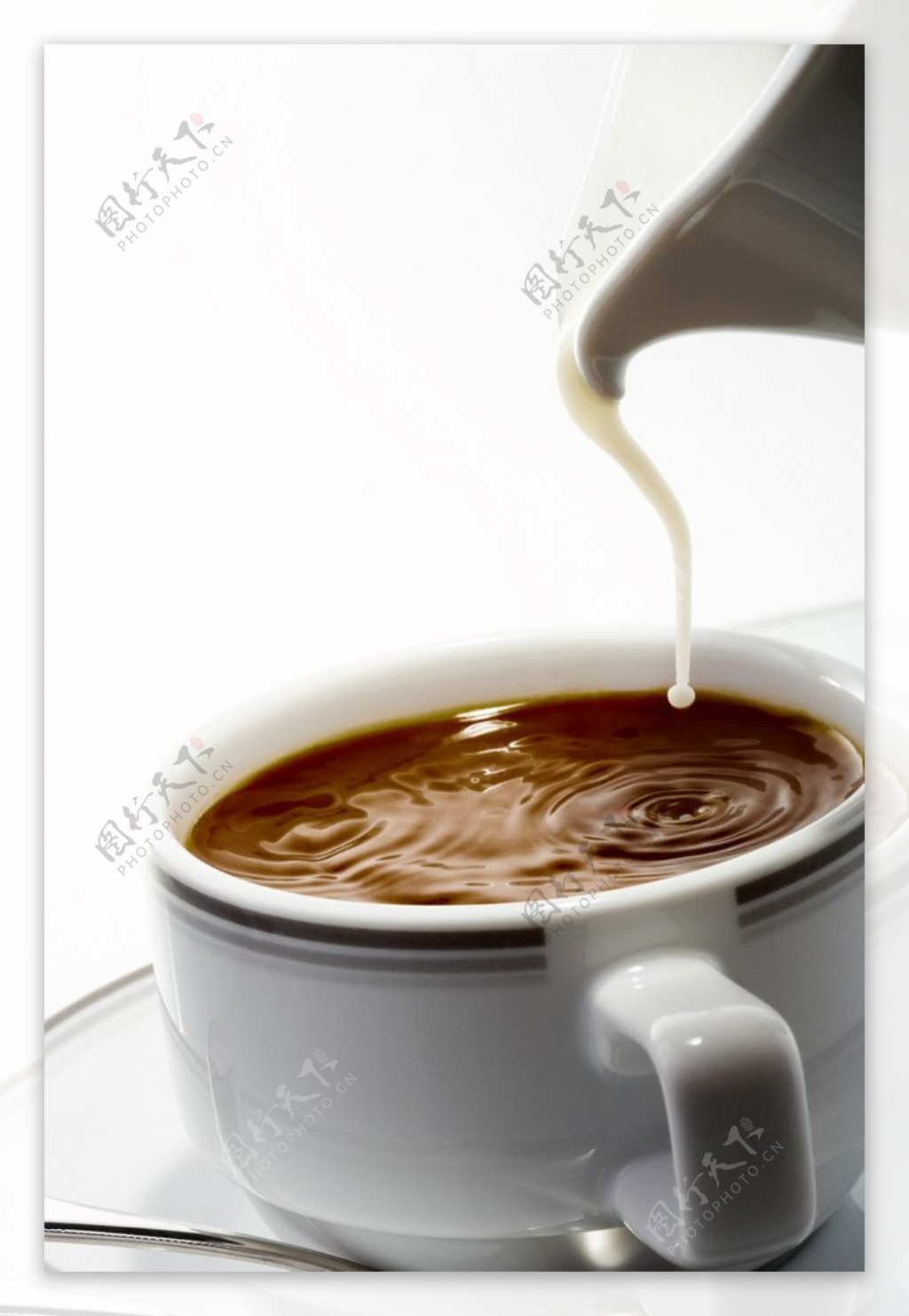 咖啡牛奶伴侣图片