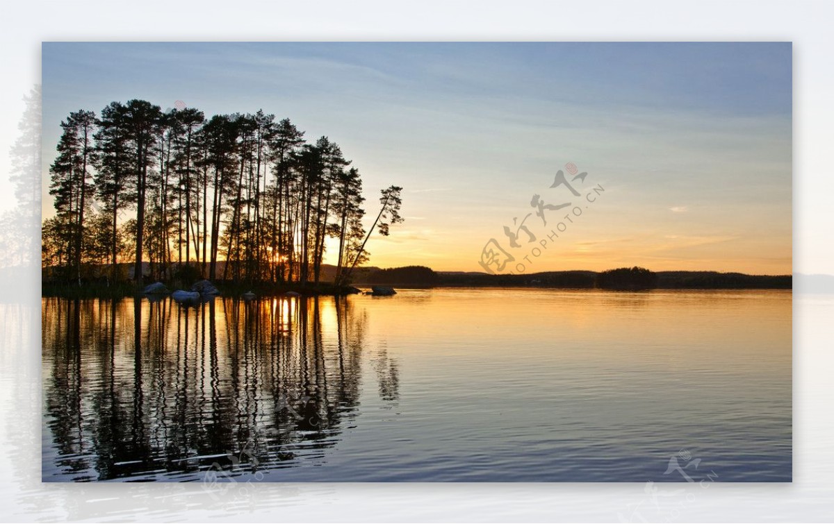 沐浴在夕阳下的湖边小树林图片