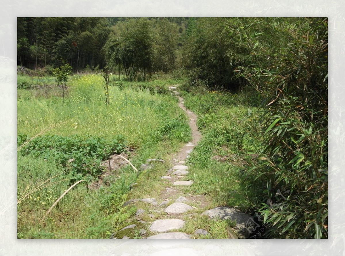 山间小路图片