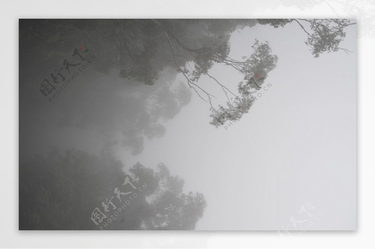 威灵顿山雾景图片