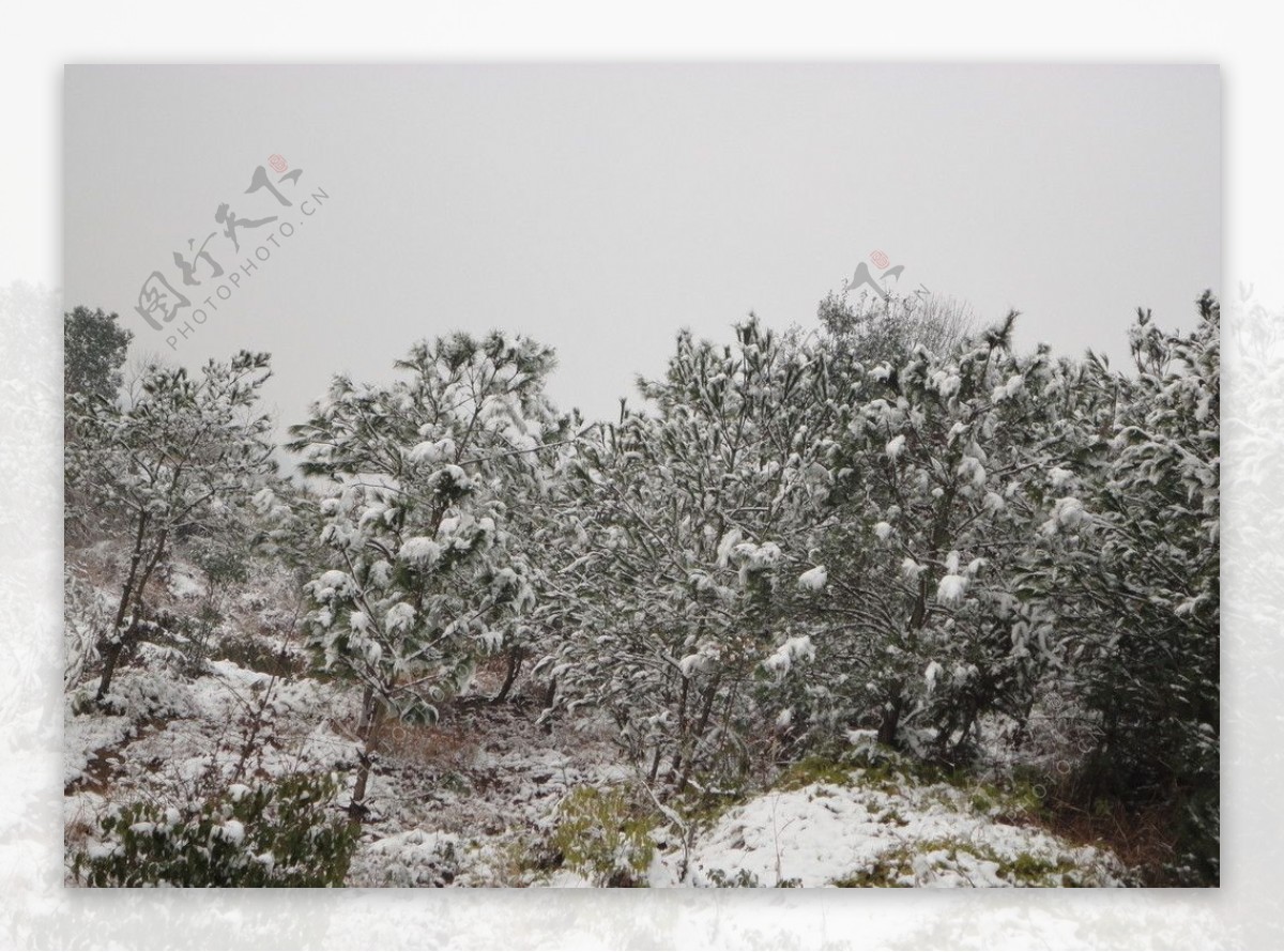 山村雪景图片