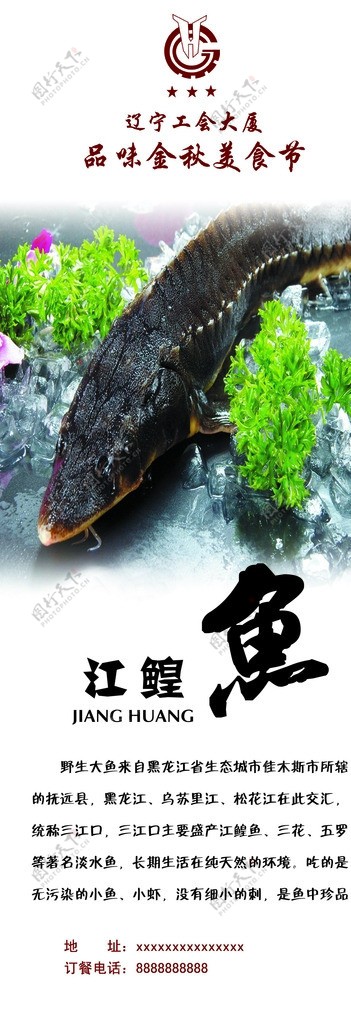 江鳇鱼展架图片
