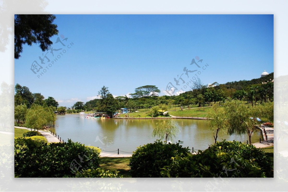 珠海海滨公园湖图片