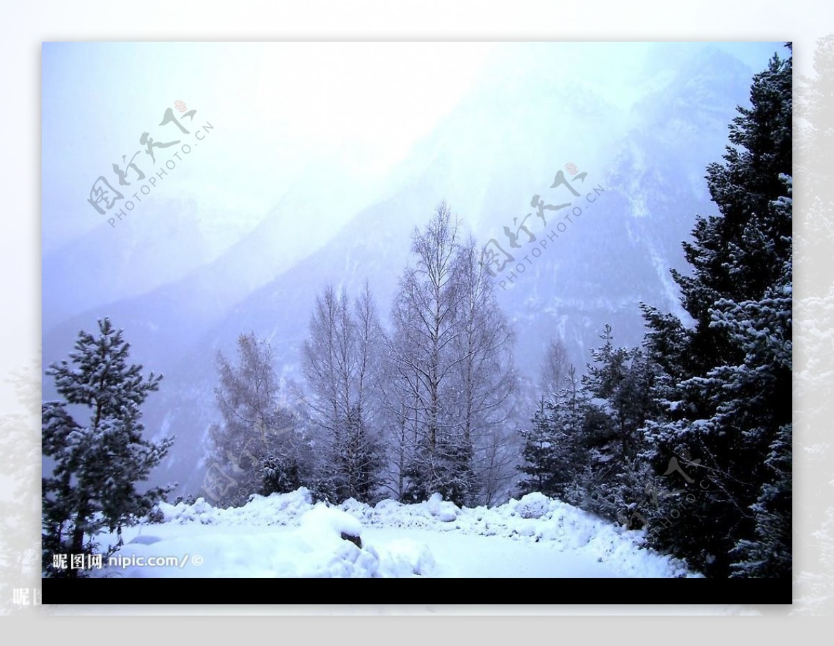 白色冬季美丽雪景图片