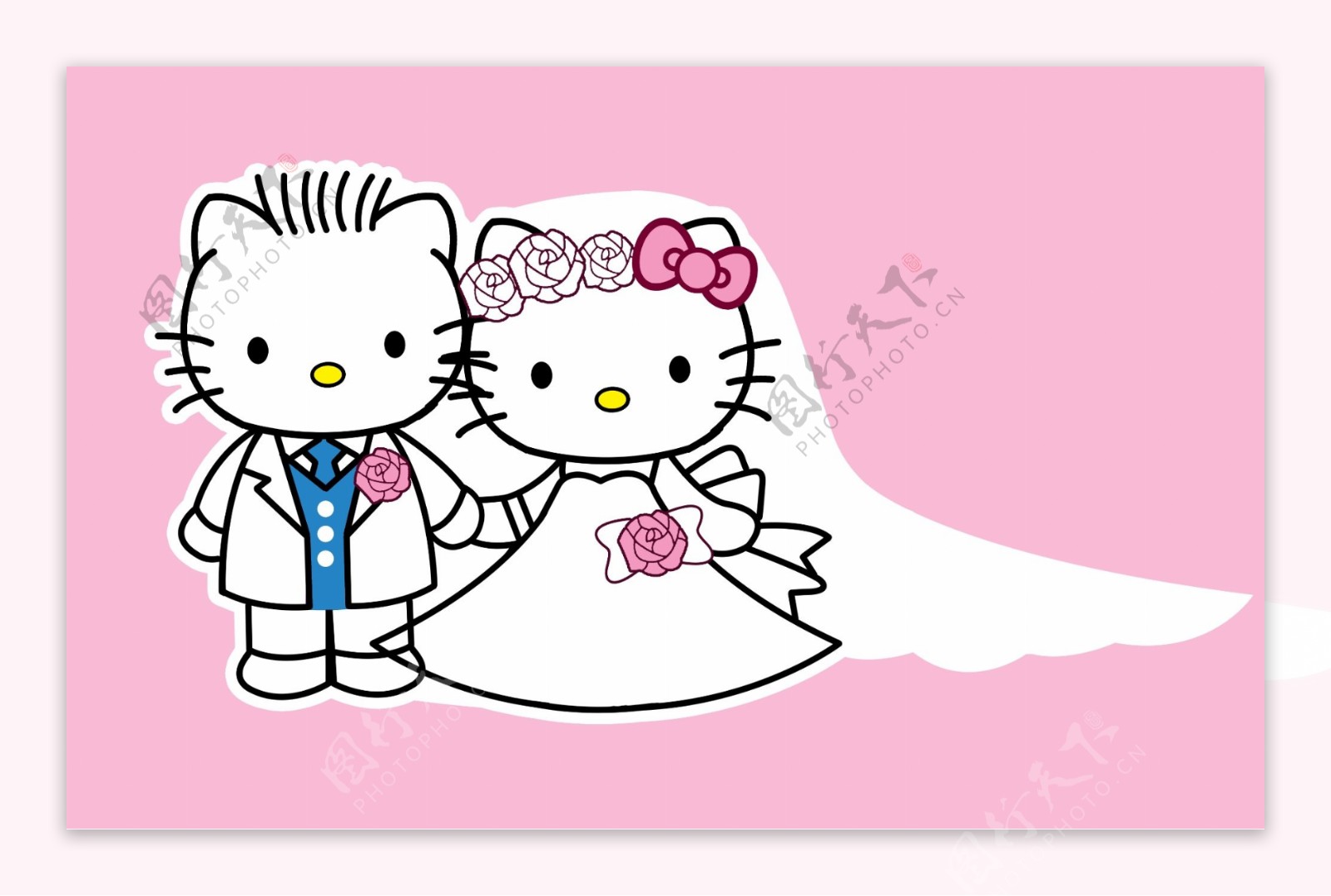 KT猫婚纱图片