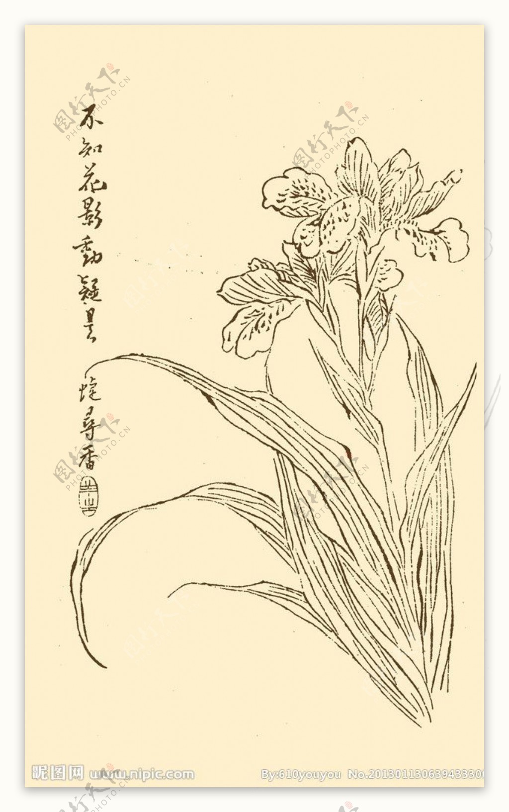 芥子园画谱花卉图片