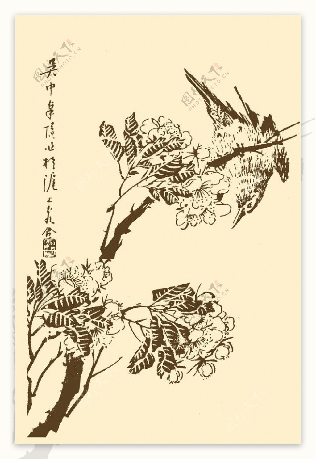 芥子园画谱翎毛图片