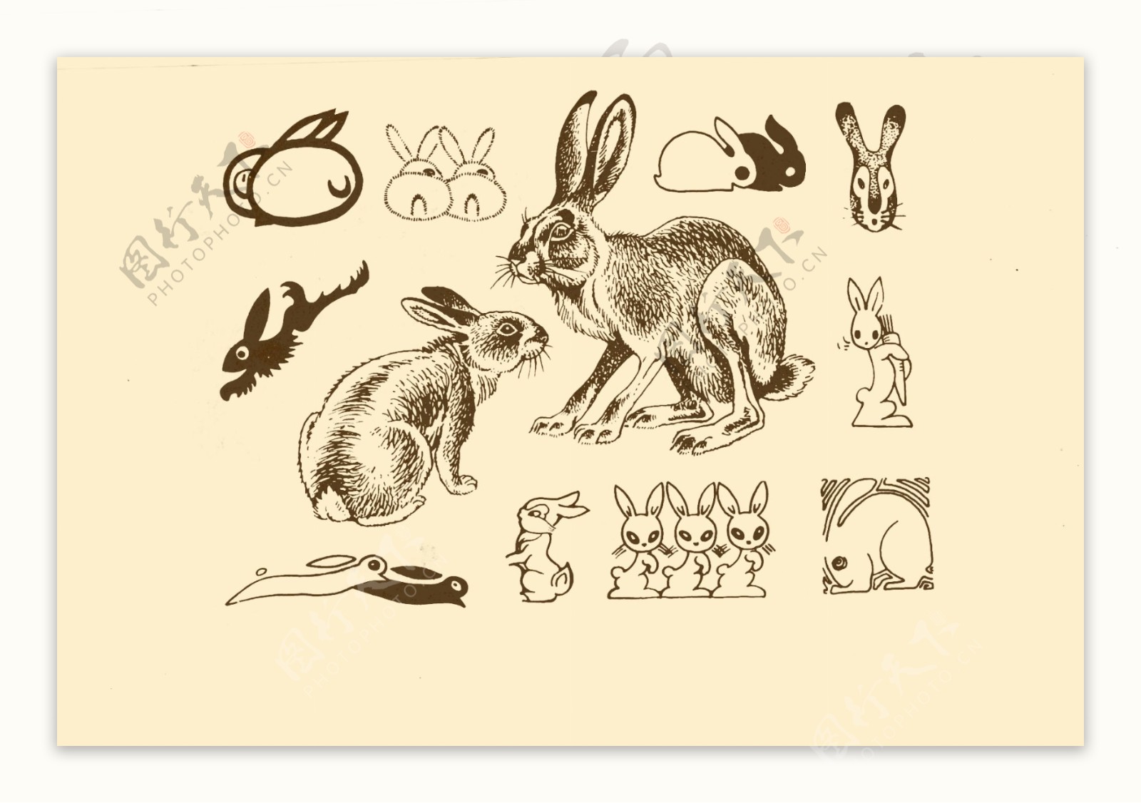 动物图案兔子图片