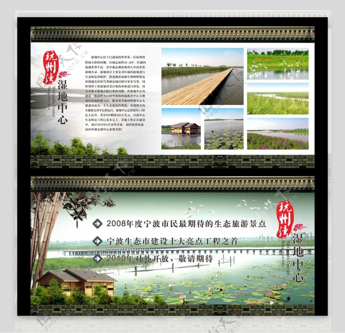 杭州湾湿地图片